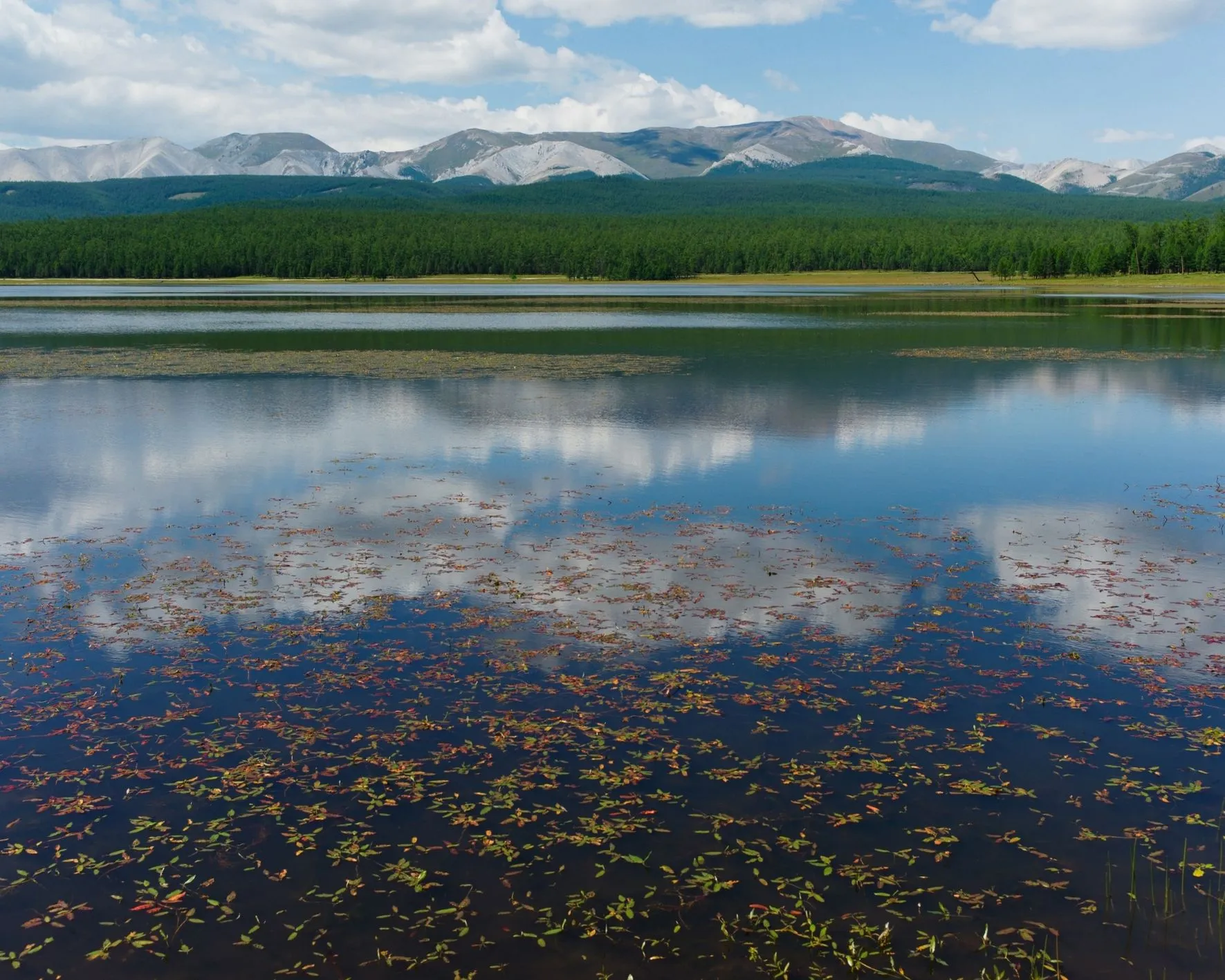 Bannière de l'article "Voyage en Mongolie avis" avec le lac Khovsgol