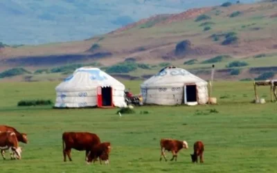 Guide pratique du voyage en Mongolie