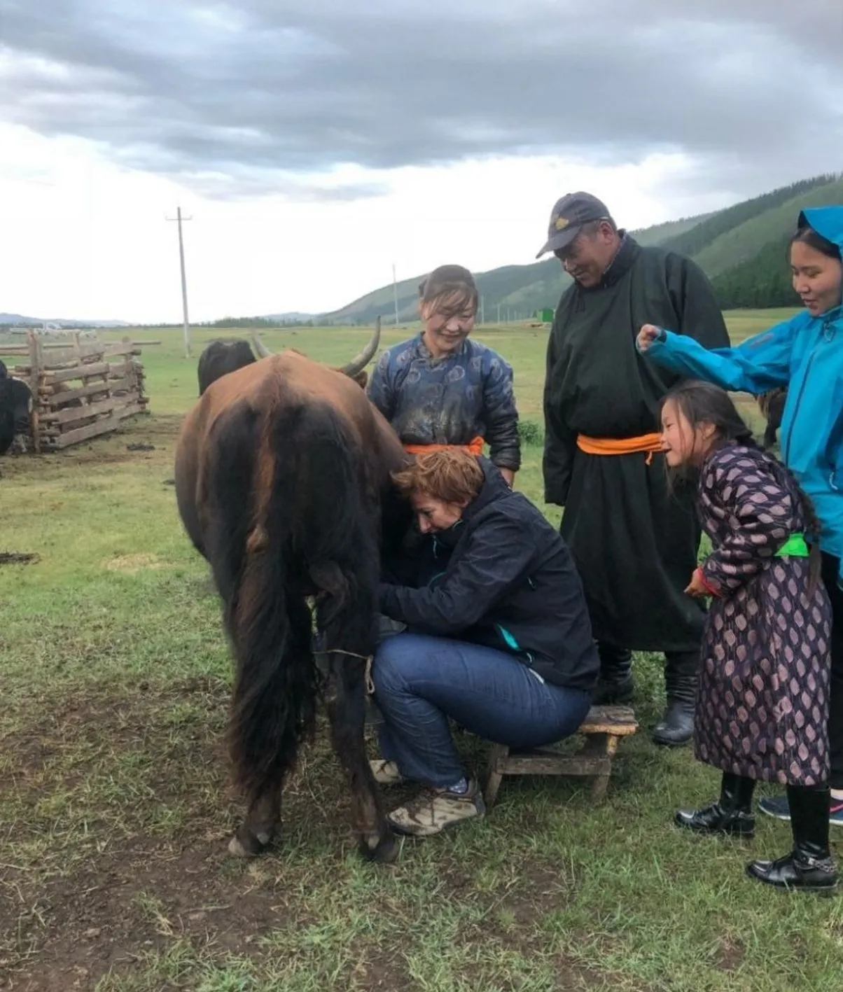 Photo de l'article "Voyage en Mongolie avis" avec la traite d'un yak.