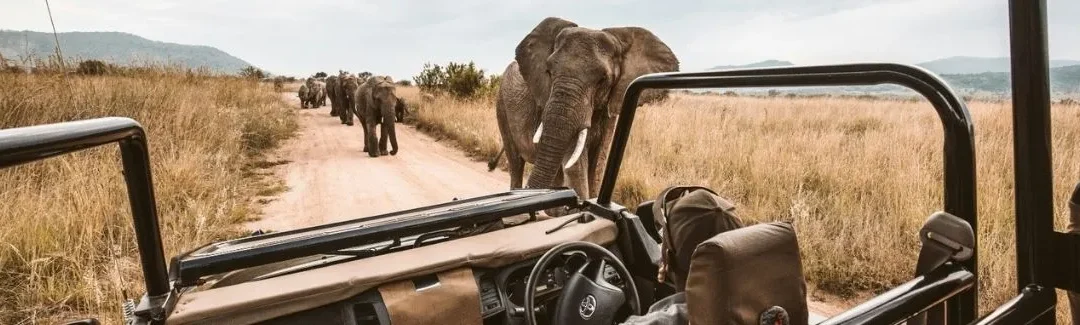 Voyage en Tanzanie et à Zanzibar en famille…