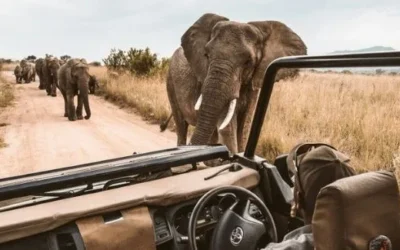 Voyage en Tanzanie et à Zanzibar en famille…